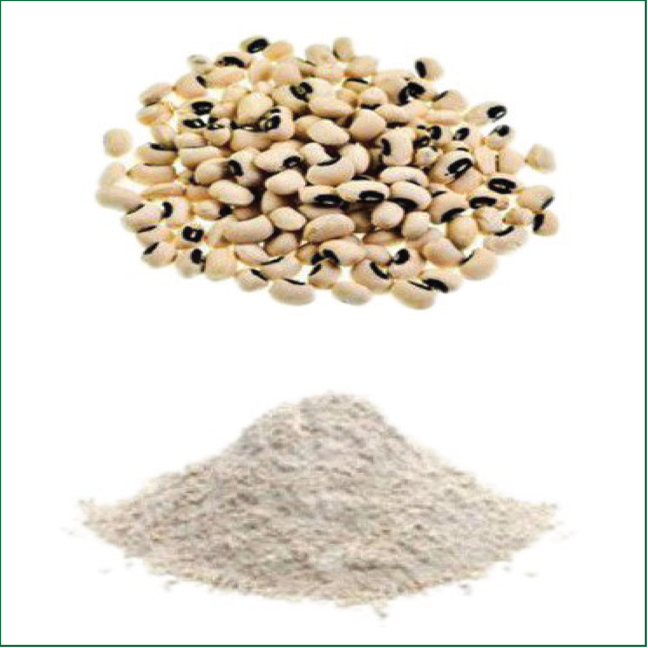 Beans-flour